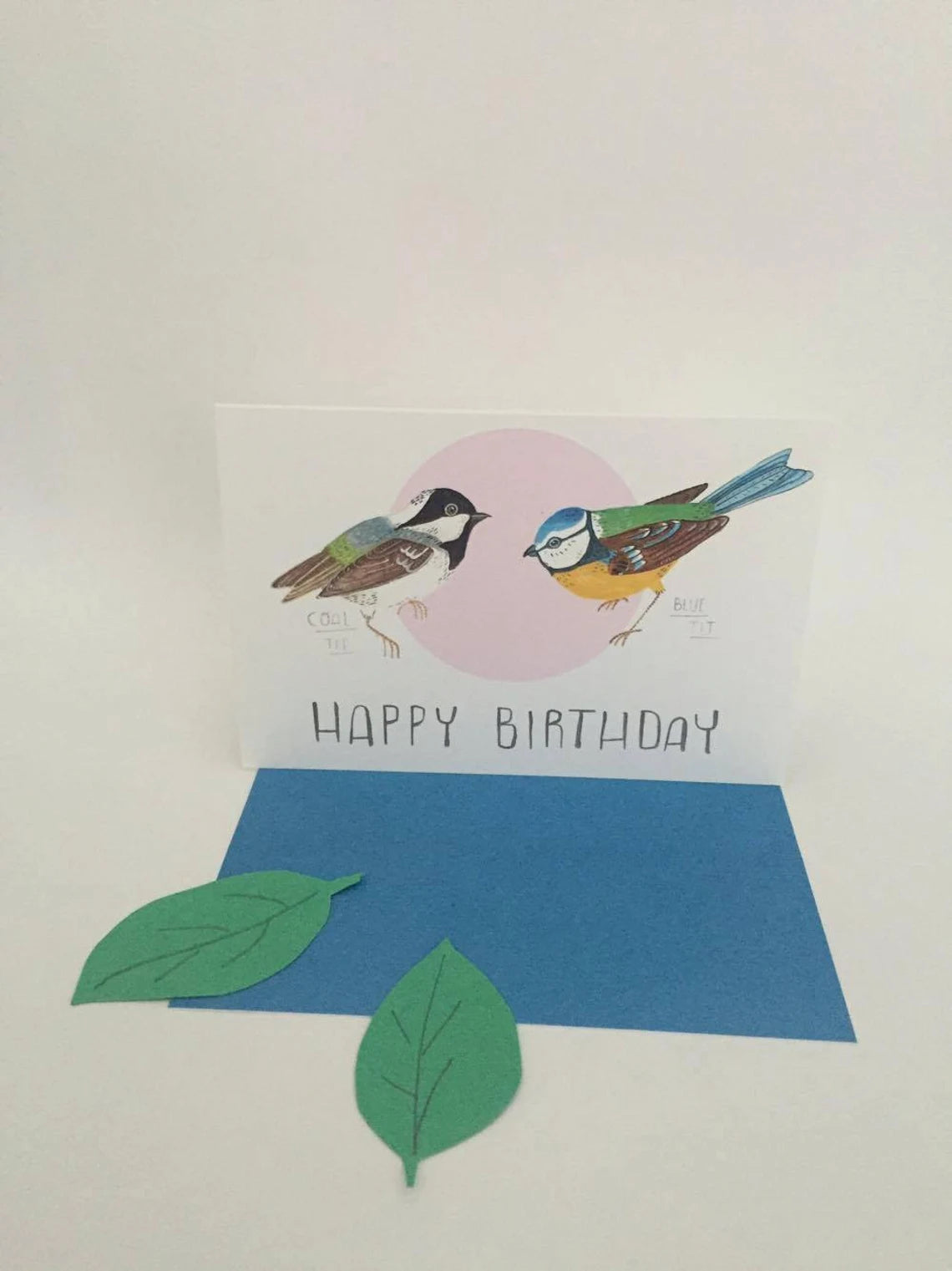 Pair of Tits Birthday Card