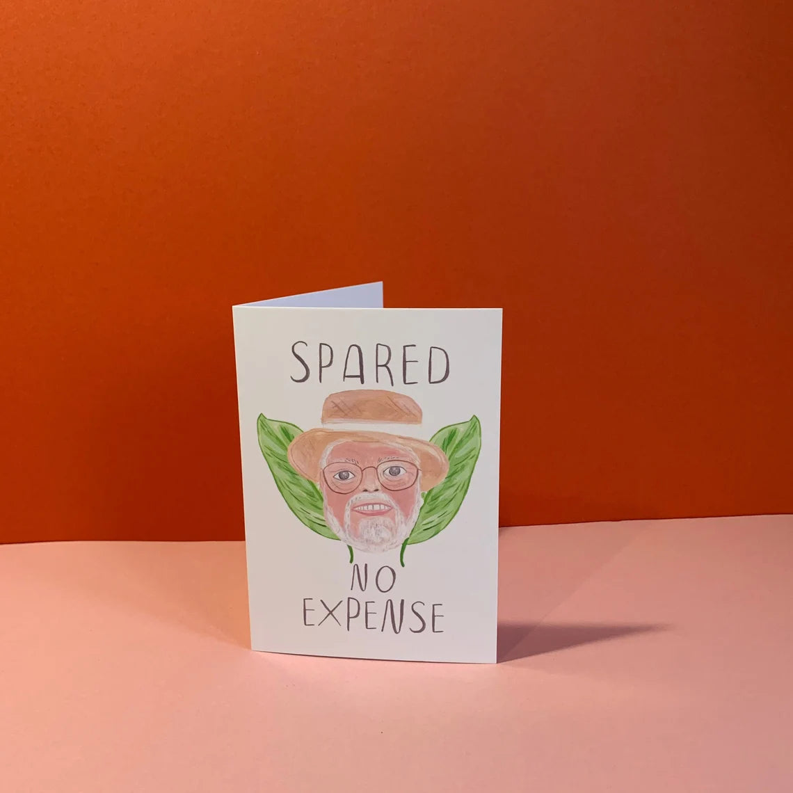 Spared No Expense Greeting Card