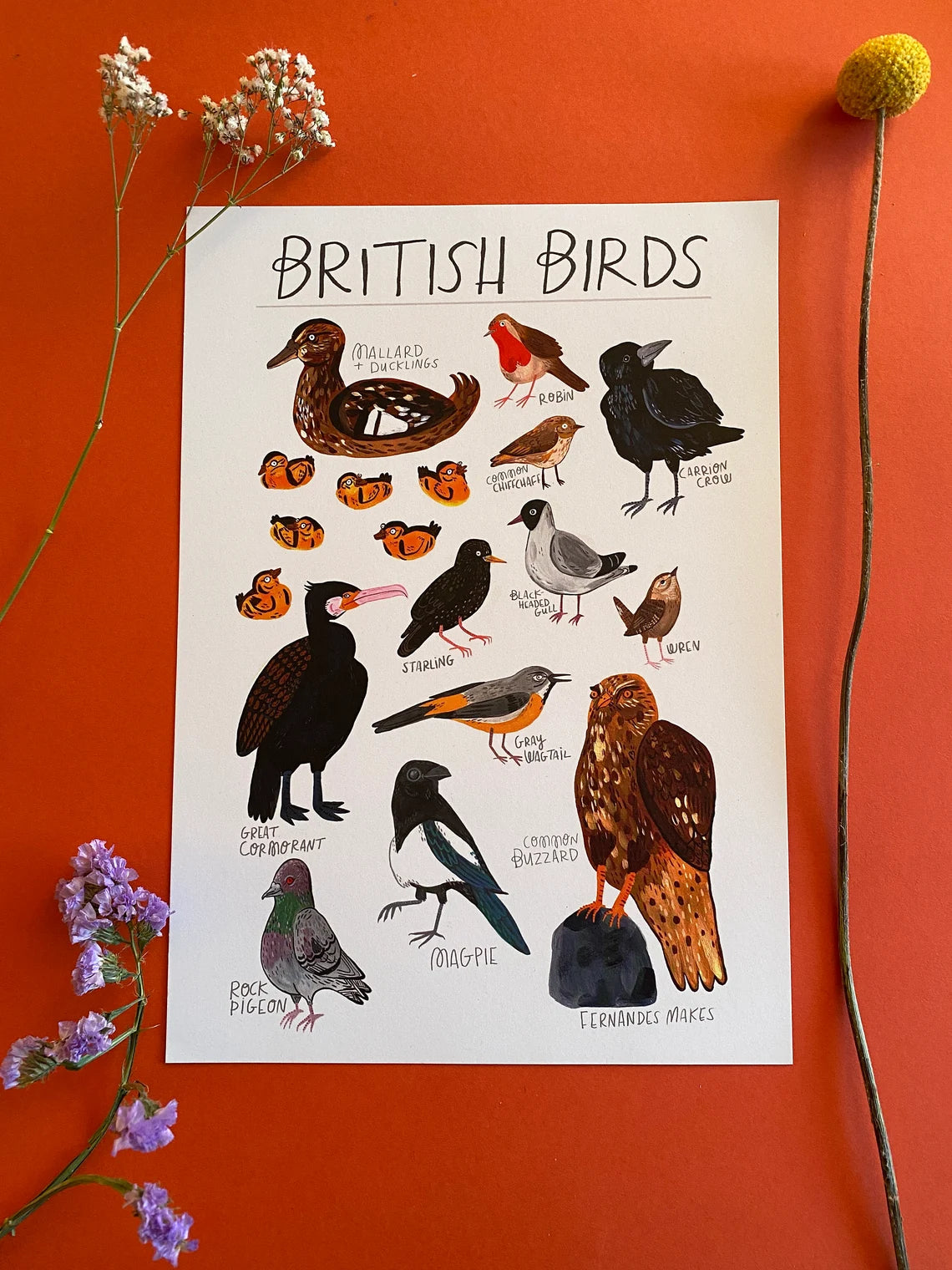 British Birds - A4 Art Print