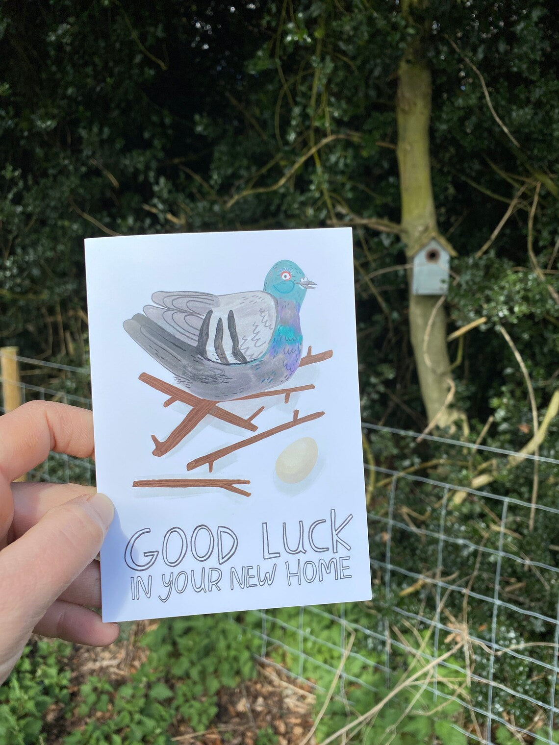 Good luck in your New Home Pigeon Greeting Card