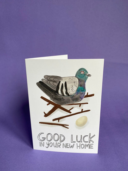 Good luck in your New Home Pigeon Greeting Card