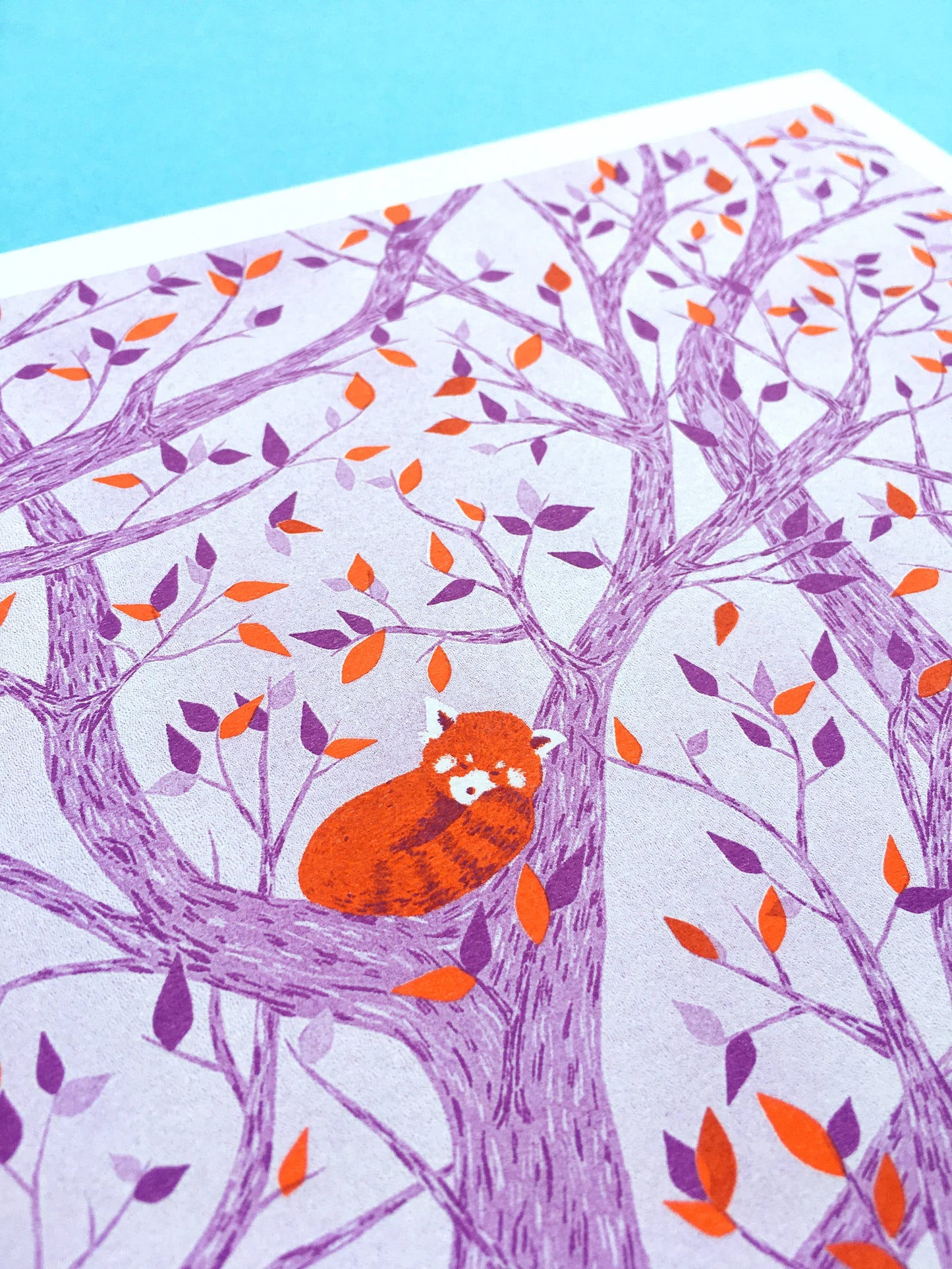 Red Pandas in Tree Risograph Print by Tom Hardwick