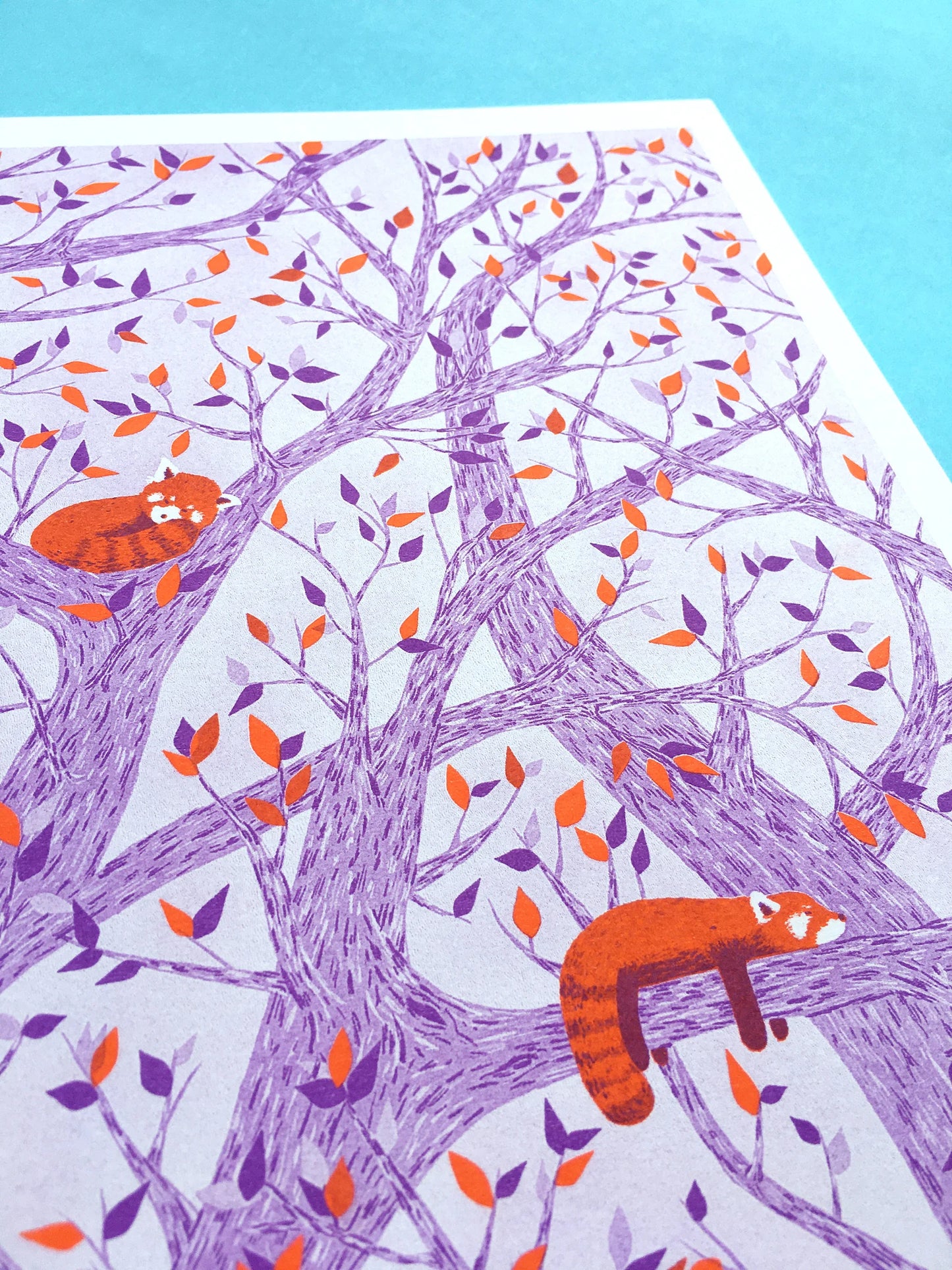 Red Pandas in Tree Risograph Print by Tom Hardwick