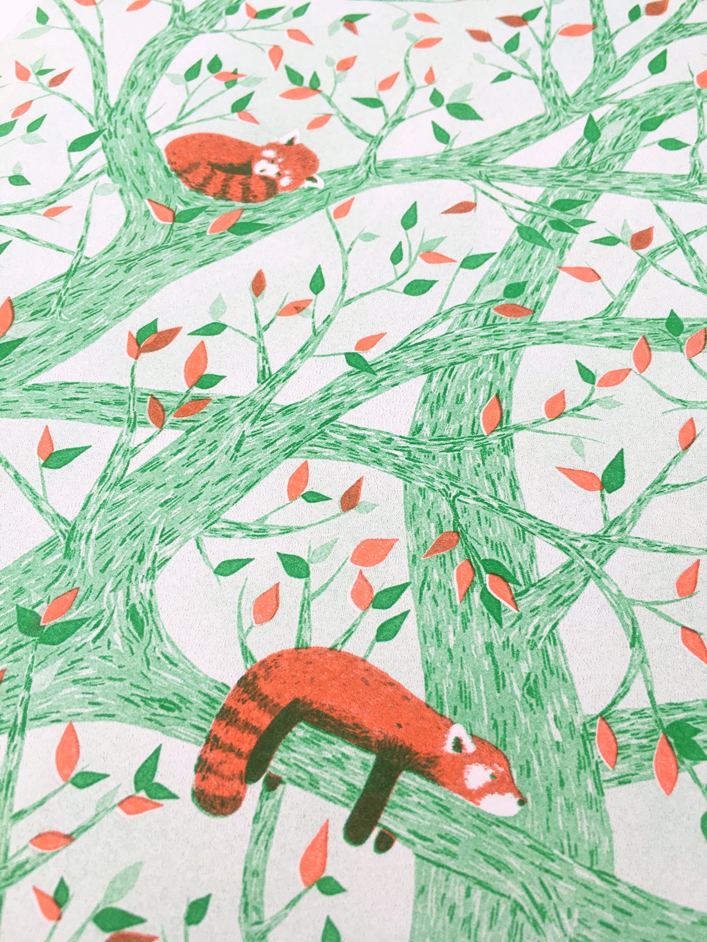 Red Pandas in Tree Risograph Print by Tom Hardwick