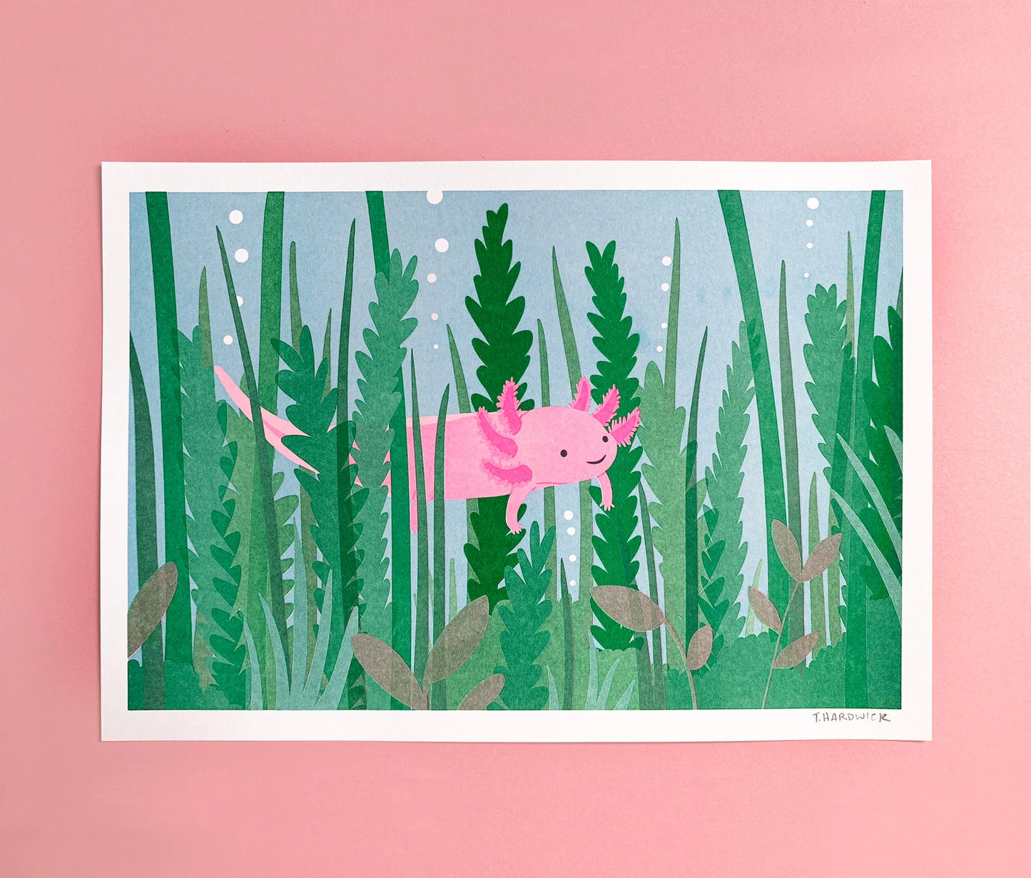 Axolotl Risograph Print by Tom Hardwick