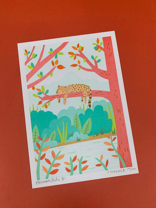 Sneaking in a Nap - Jaguar on Branch- A4 Art Print