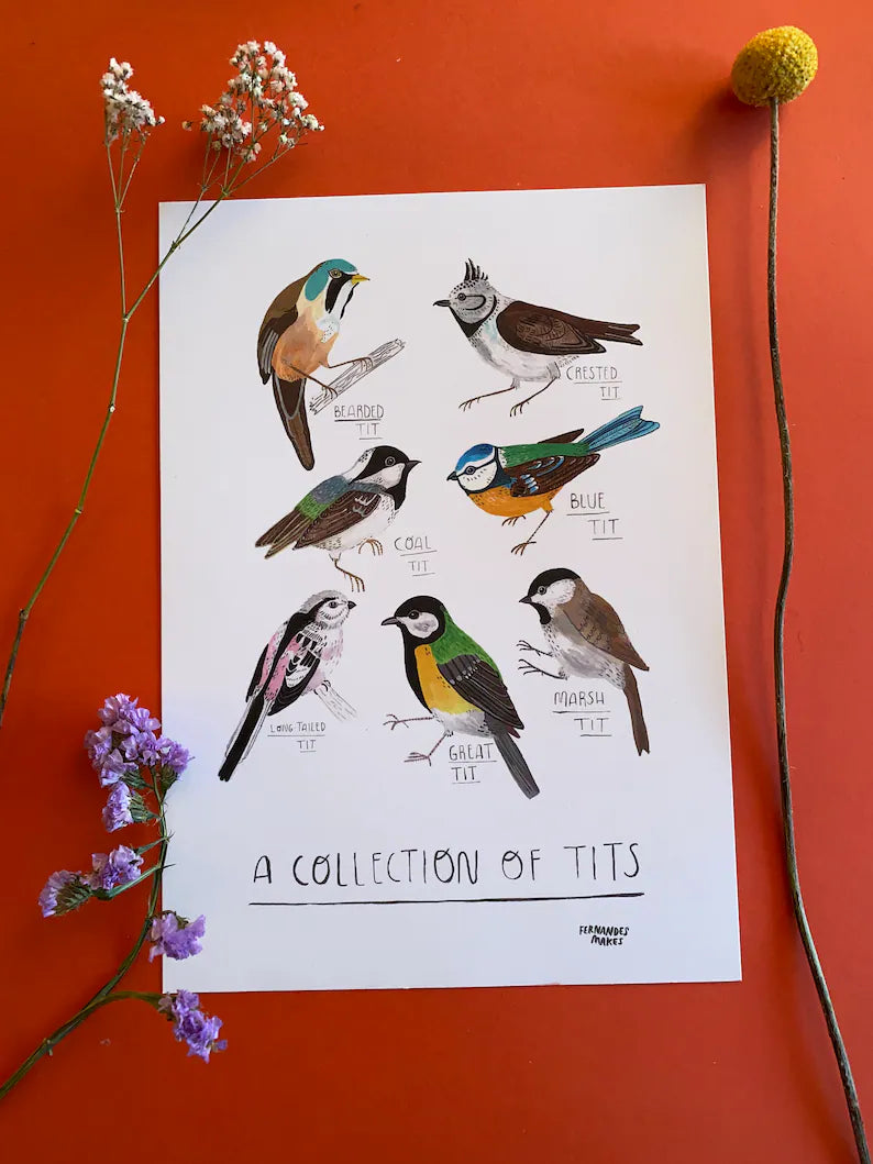 Collection of Tits - A4 Print