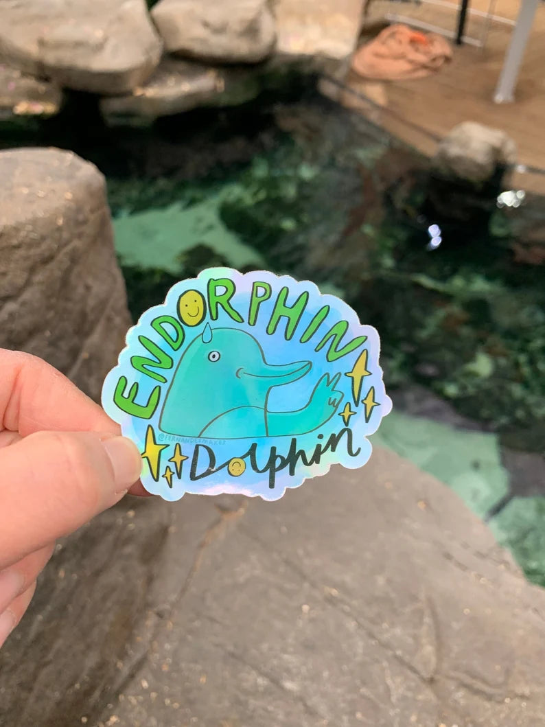 Endorphin Dolphin Holographic Vinyl Sticker by Fernandes Makes