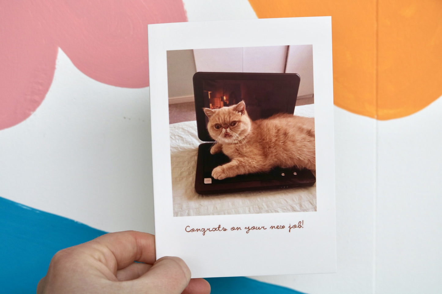 Congrats On Your New Job Cat Greeting Card