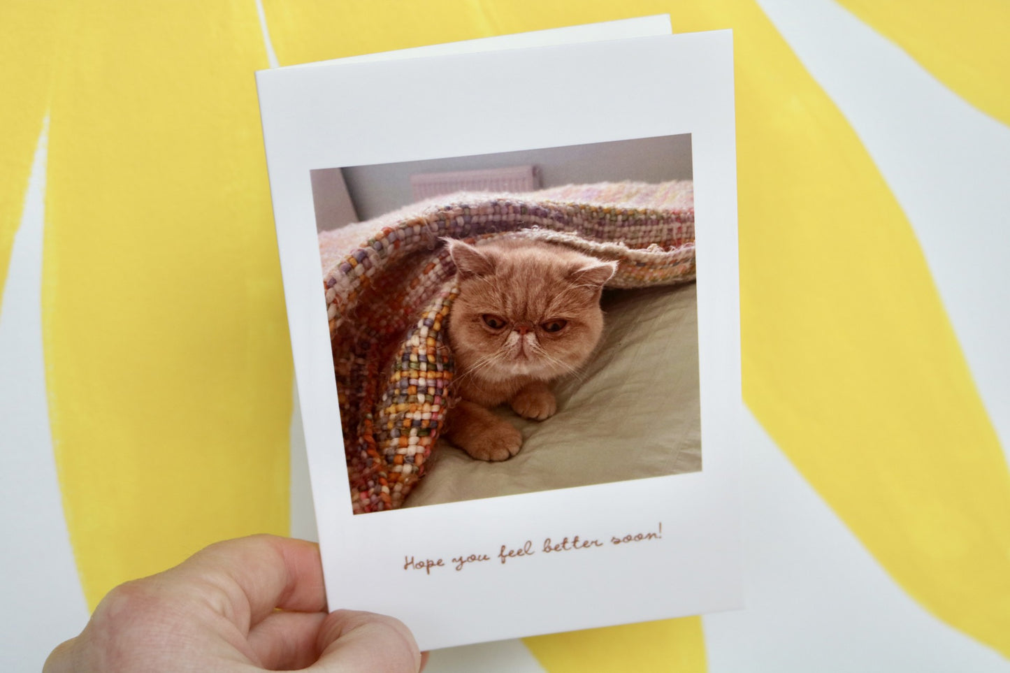 Hope You Feel Better Soon Cat Greeting Card