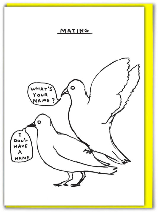 Mating Pigeons Greeting Card by David Shrigley