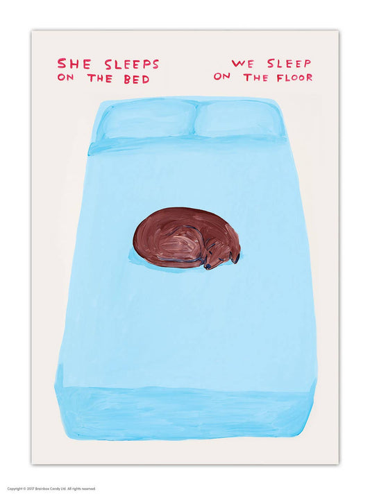 She Sleeps On The Bed - David Shrigley Postcard